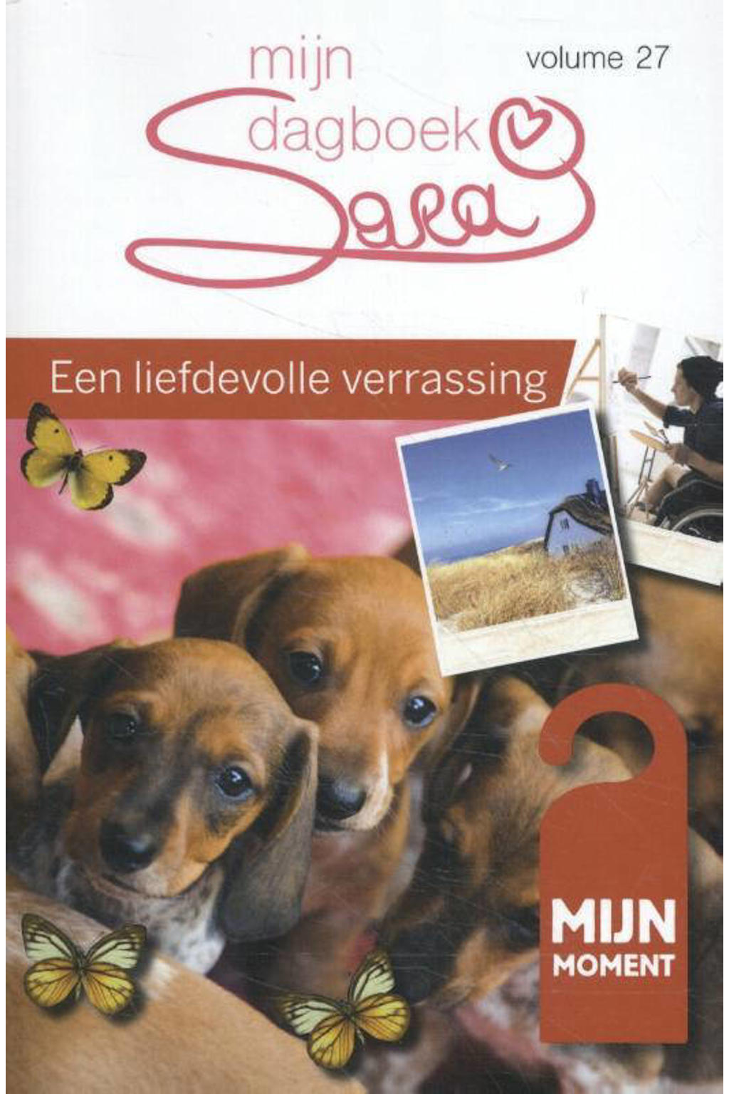 Ria Maes Sara Mijn Dagboek Een Liefdevolle Verrassing Wehkamp 9641