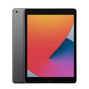 10.2-inch iPad Wifi 32GB (space grey)