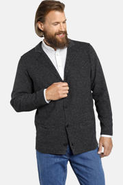 thumbnail: Grijze heren Jan Vanderstorm gemêleerd vest Plus Size van katoen met lange mouwen en V-hals