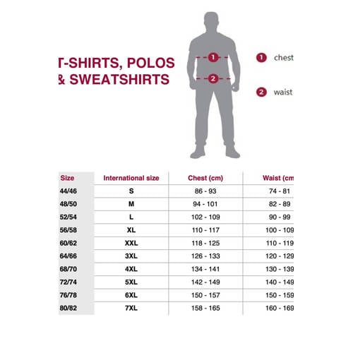 Jan Vanderstorm polo Plus Size ISFRIED donkergrijs afbeelding