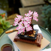 thumbnail: LEGO Botanical Collection Bonsaiboompje Bouwpakket voor Volwassenen 10281