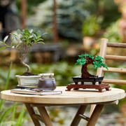 thumbnail: LEGO Botanical Collection Bonsaiboompje Bouwpakket voor Volwassenen 10281