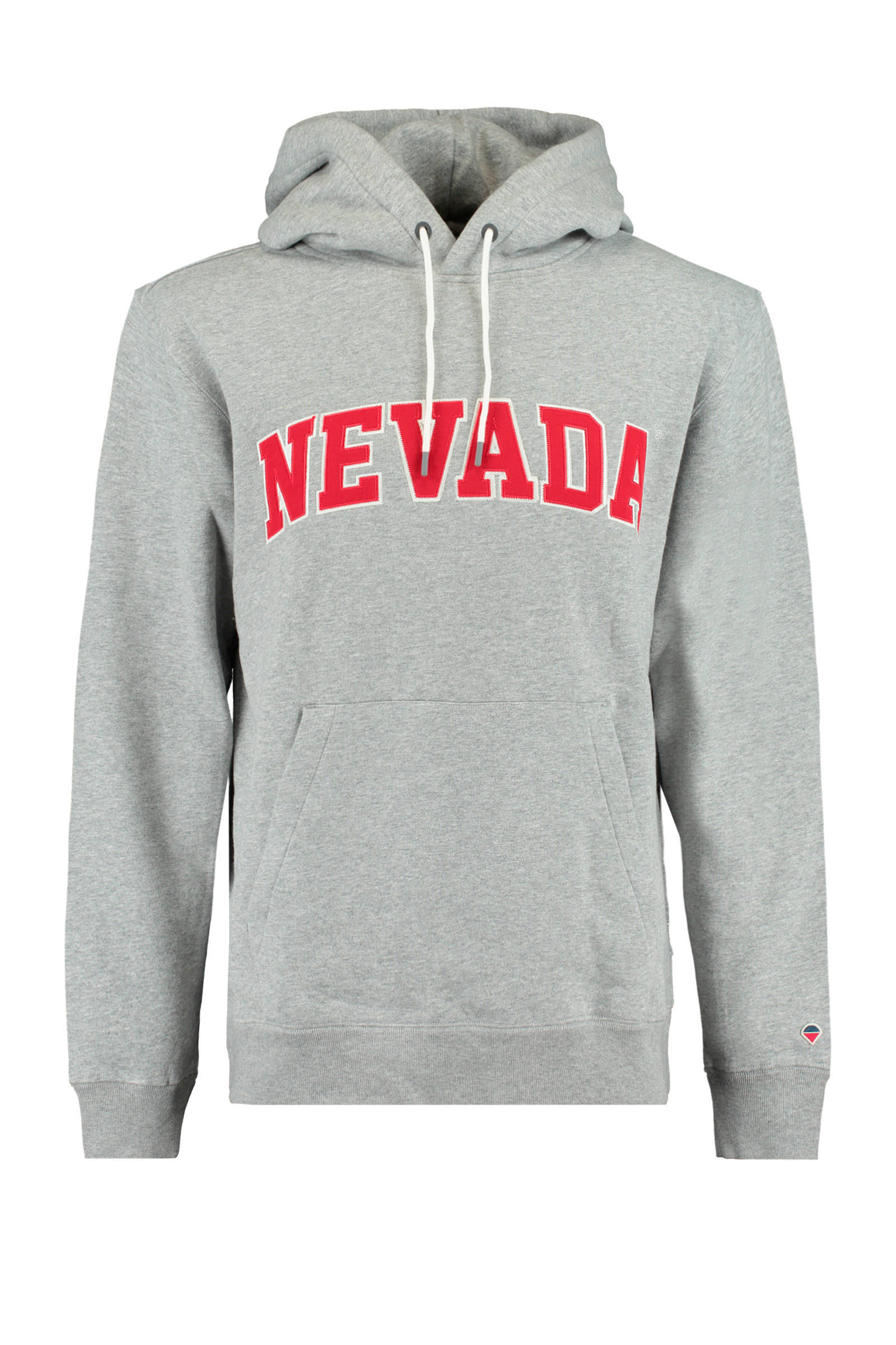 America Today hoodie Sage Nevada met tekst grijs melange online kopen