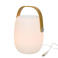 Lumineo LED speaker Batterij
