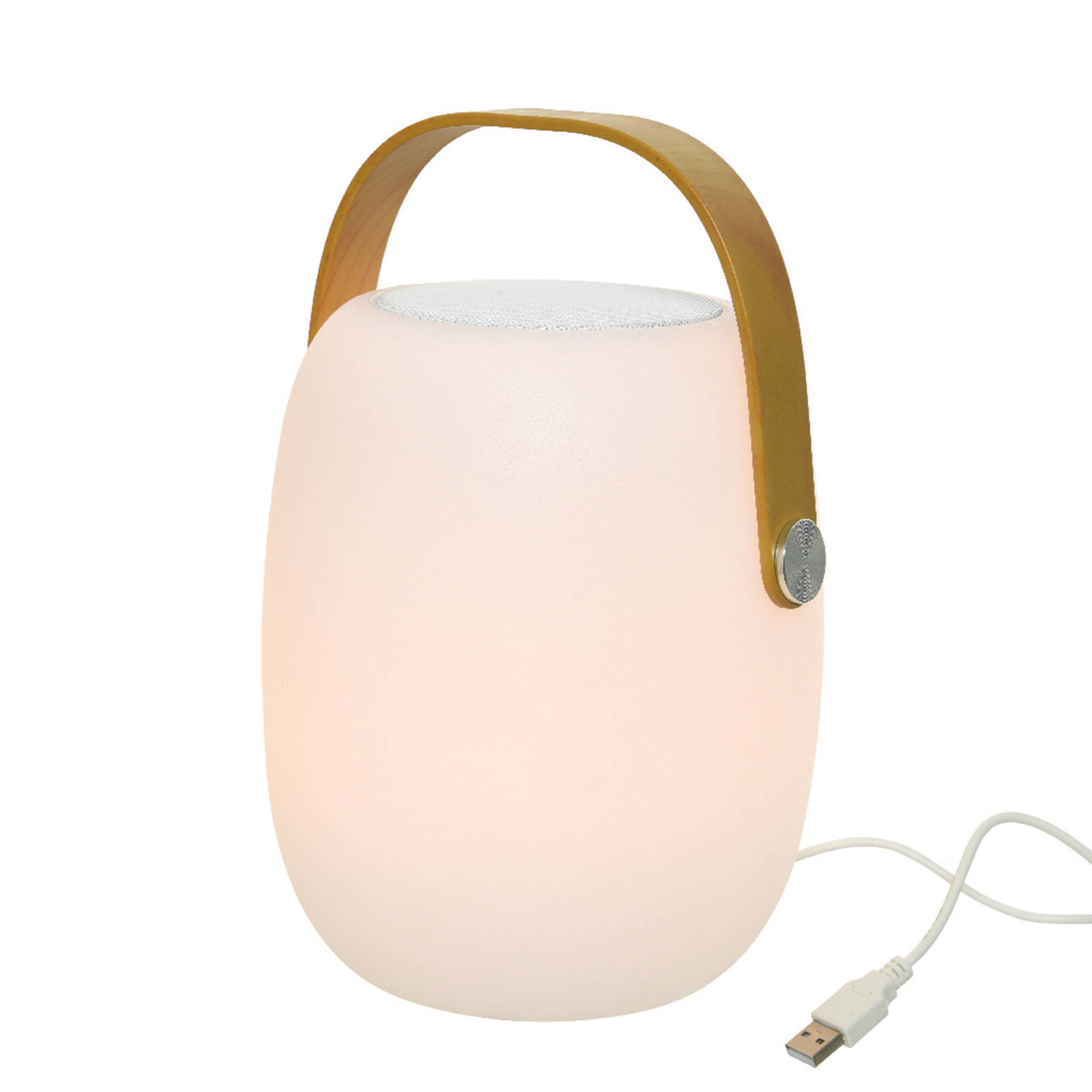 Decoris Speaker Buiten LED Bluetooth Ø21 x 32 cm-9L online kopen