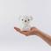 Mr Maria Boris Bundle of Light lamp