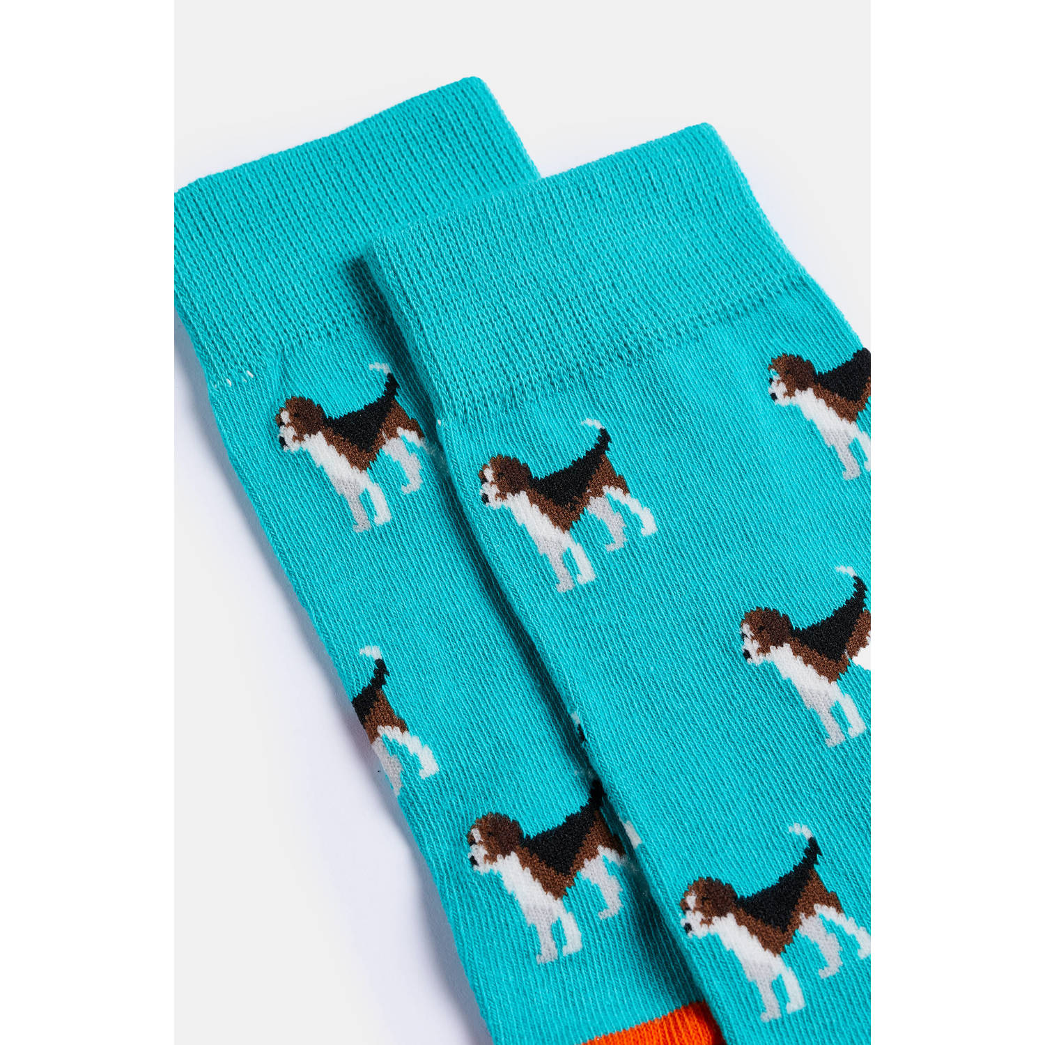 WE Fashion sokken met dierenprint blauw