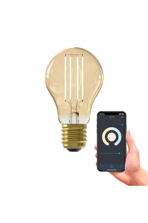 smart LED lichtbron