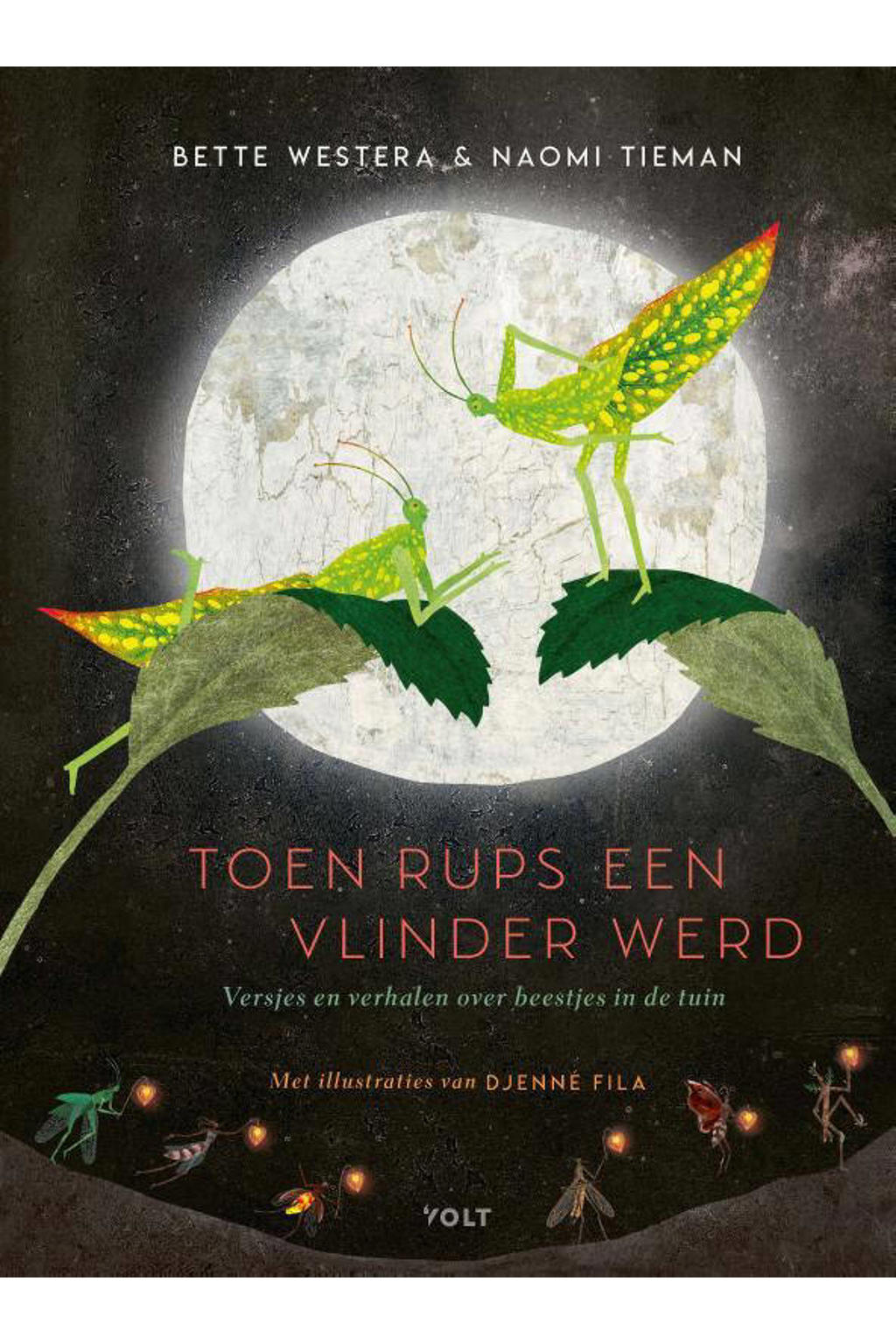 Toen Rups een vlinder werd - Bette Westera en Naomi Tieman