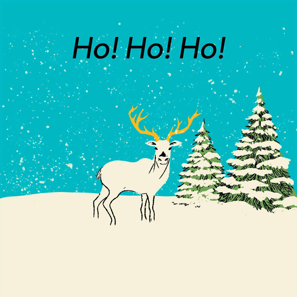 wehkamp Digitale Cadeaukaart Kerst 'Ho Ho Ho' 20 euro