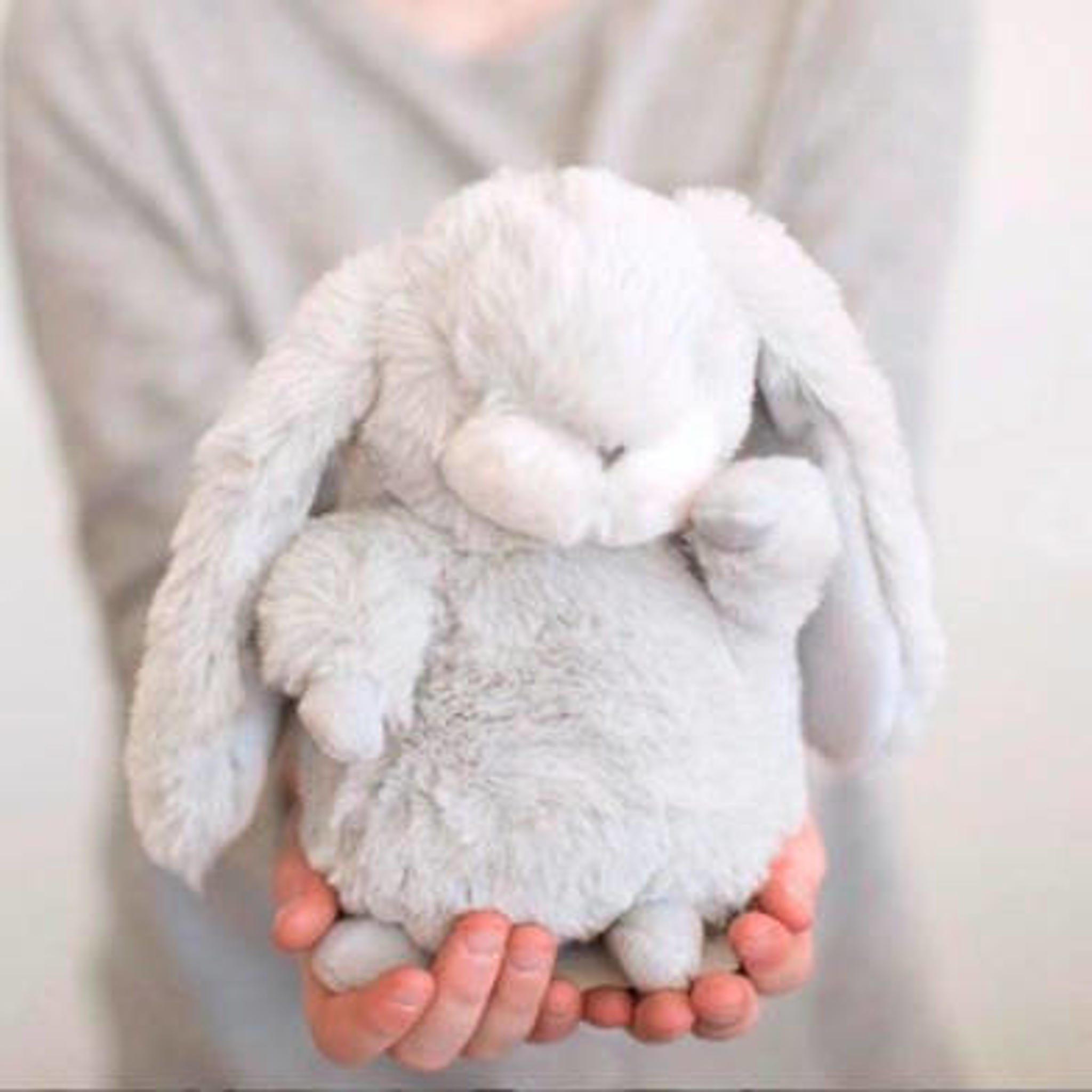 Bunnies By The Bay Konijn klein grijs knuffel 20 cm - Afbeelding 2