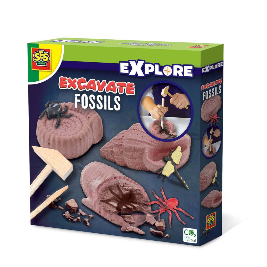 SES Explore Fossielen opgraven