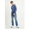 Levi's 501 straight leg jeans candy paint