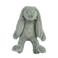 Happy Horse knuffel konijn Richie - groen - 38 cm