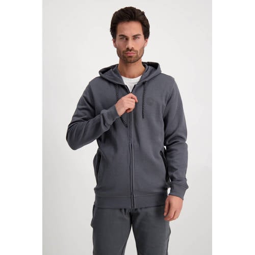 Cars sweatvest Iscar mid grey afbeelding