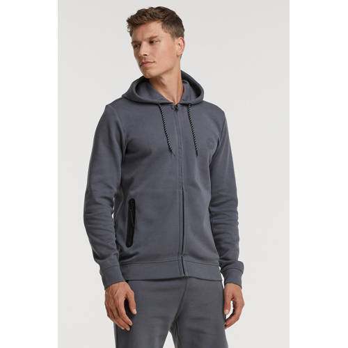 Cars sweatvest Iscar mid grey afbeelding