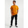 WE Fashion Salty Dog slim fit T-shirt met printopdruk Inca Gold