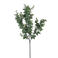Mica Decorations kunsttak Eucalyptus