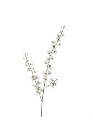kunstbloem Oncidium