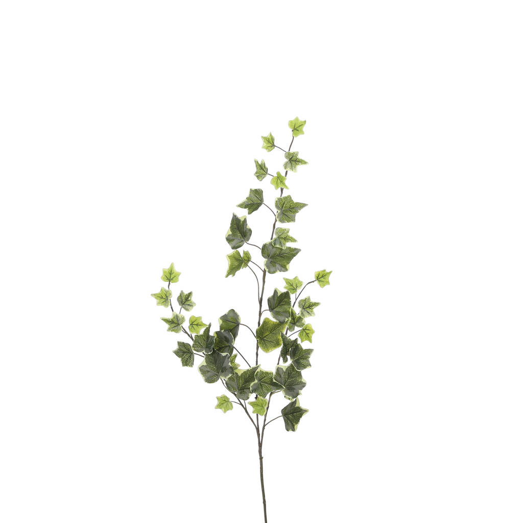 Mica Decorations kunstbloem Hedera groen, bont, groen