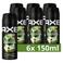 Axe Wild Green Mojito & Cedarwood deodorant bodyspray - 6 x 150 ml