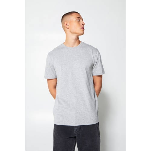 America Today loose fit T-shirt Eric van biologisch katoen grey melange