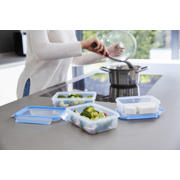 thumbnail: Tefal MasterSeal Fresh vershoudbakje (set van 5) (0,8L)