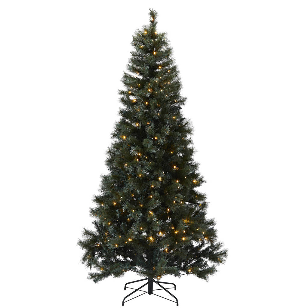 native Veranderlijk pop Wehkamp Home verlichte kerstboom Scotch Pine (h230 x Ø125 cm) | wehkamp