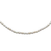 thumbnail: Abrazi verguld zilveren ketting Always