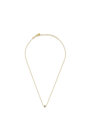gold plated ketting Dainty