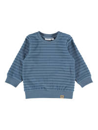 Blauwe jongens NAME IT BABY gestreepte baby trui van duurzame sweatstof met lange mouwen en ronde hals