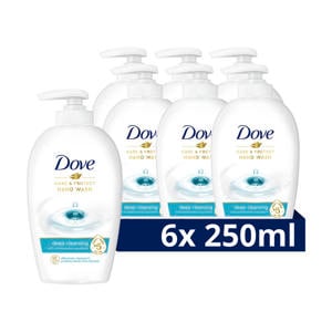 Care & Protect handzeep - 6 x 250 ml