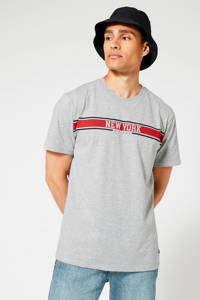 Lichtgrijze heren America Today T-shirt Eddie Hiphop van katoen met printopdruk, korte mouwen en ronde hals