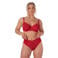 After Eden D-cup & up high waist string Bo rood