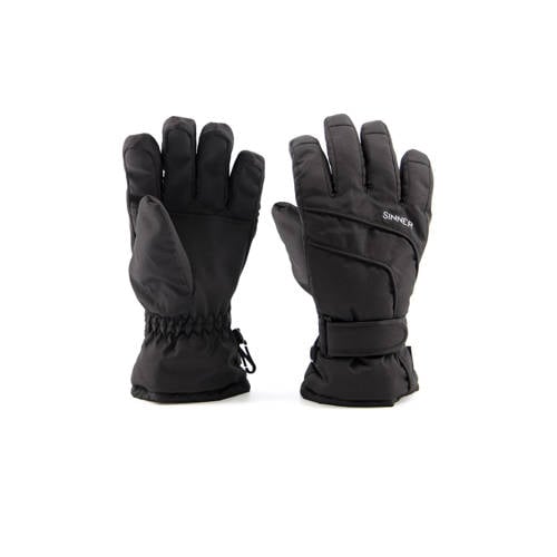 Sinner ski handschoenen Mesa zwart afbeelding