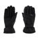 Sinner ski handschoenen Mesa zwart