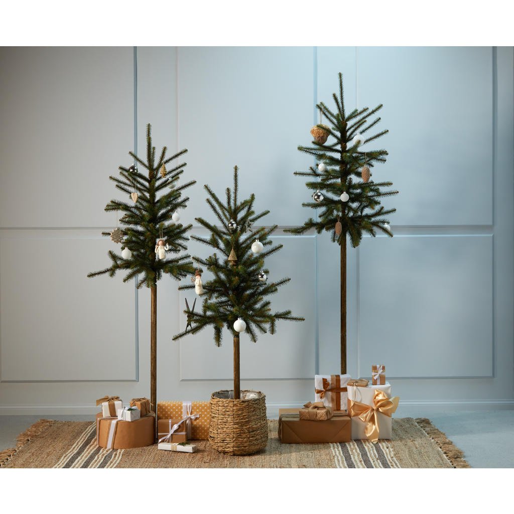 Black Box Trees kerstboom Lodgepole (h155xø74 cm) wehkamp