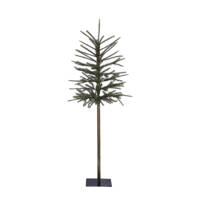 Black Box Trees kerstboom Lodgepole (h155xø74 cm)