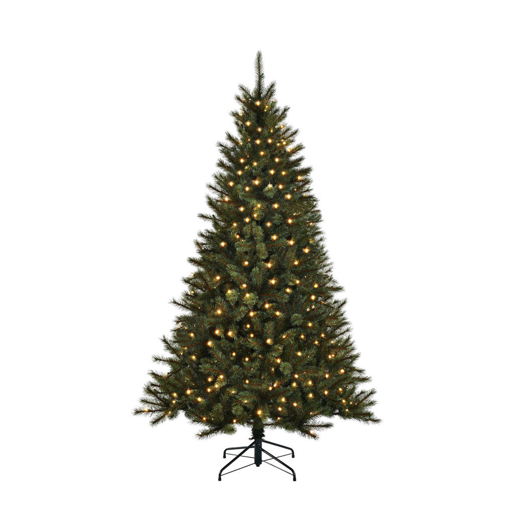 Black Box Trees verlichte kerstboom Toronto (h185xø114 cm)