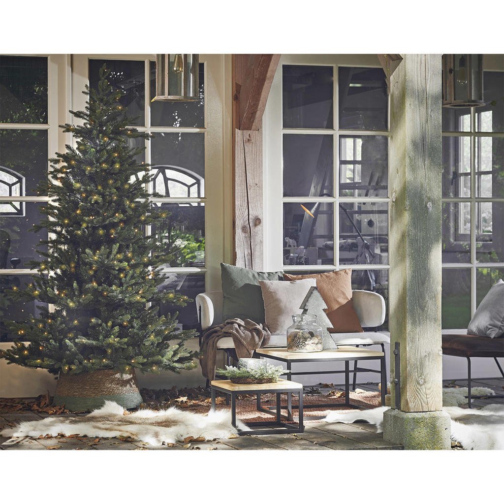 Black Box Trees kerstboom Macallan (h230xø140 cm) wehkamp