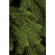 thumbnail: Black Box Trees kerstboom Brampton (h230xø147 cm)