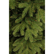 thumbnail: Black Box Trees kerstboom Brampton (h230xø147 cm)