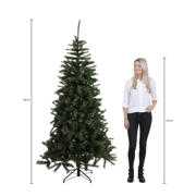 thumbnail: Black Box Trees kerstboom Brampton (h230xø147 cm)