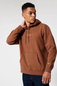 America Today hoodie Stone met printopdruk brown, Brown