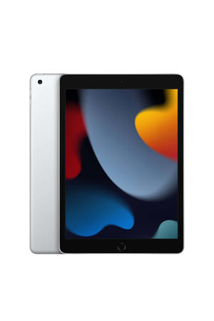 10.2-inch 64GB wifi iPad (2021)