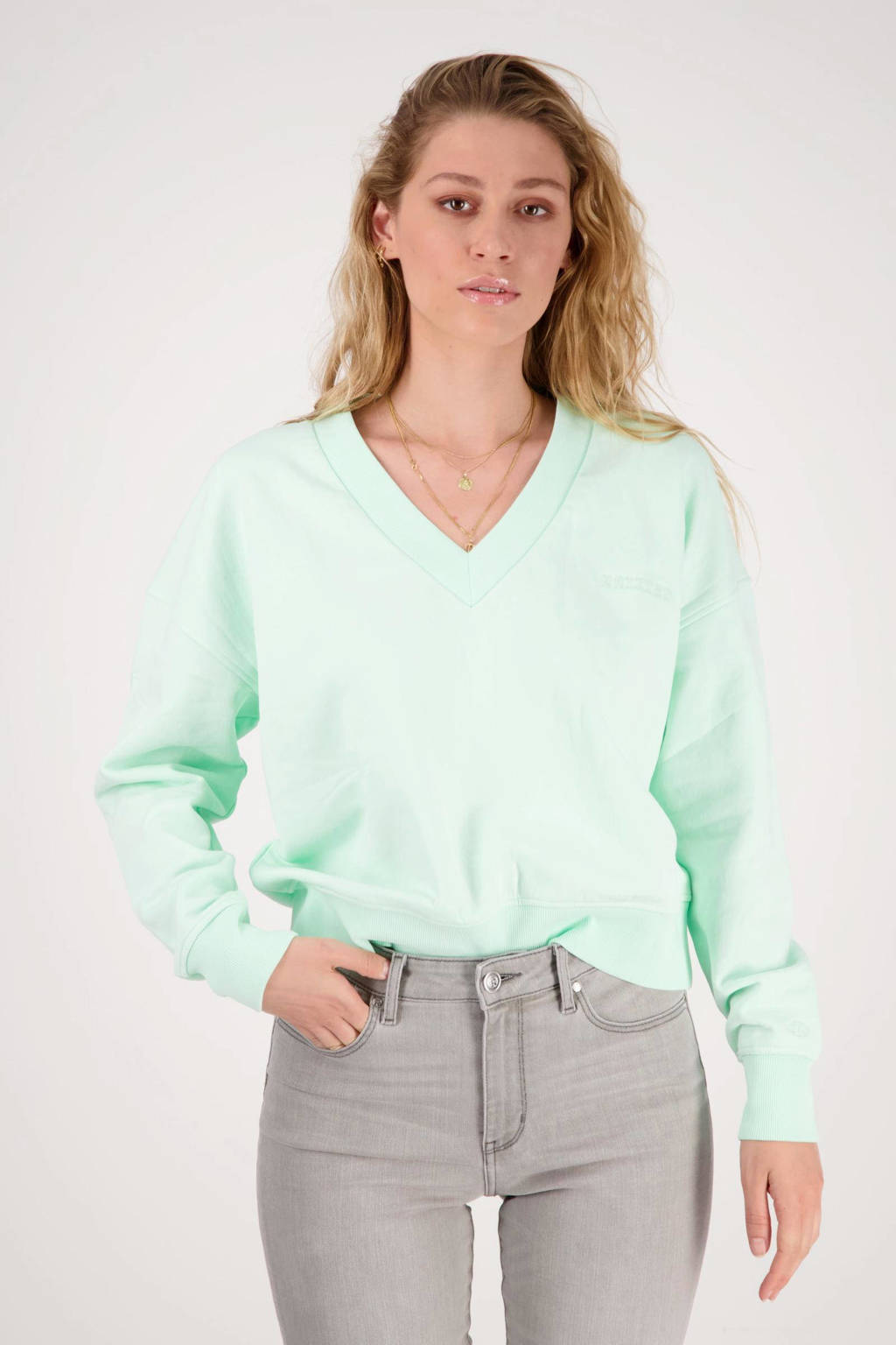 Turquoise dames Raizzed sweater Noah van polyester met lange mouwen, V-hals en borduursels