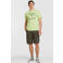 Cars regular fit cargo short ADURRAS antra