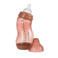 Difrax Brede S-Babyfles Anti Koliek - 310 ml - Bruin - Anti Colic tegen krampjes