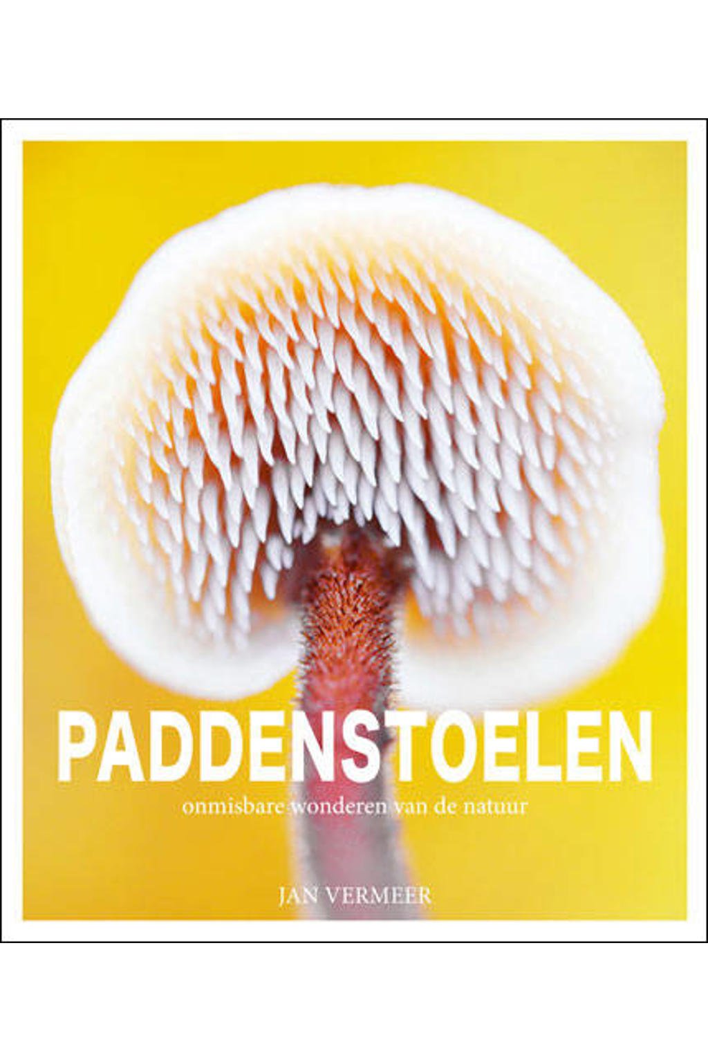 PADDENSTOELEN - Jan Vermeer
