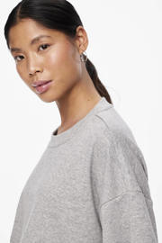 thumbnail: PIECES sweater PCCHILLI grijs